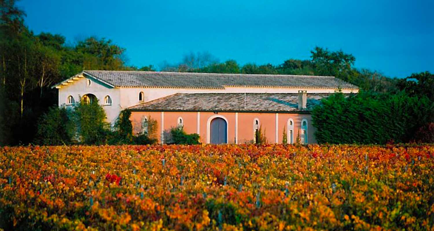 CHATEAU-CANTELYS-PHOTO-VUE-VIGNES-768x528