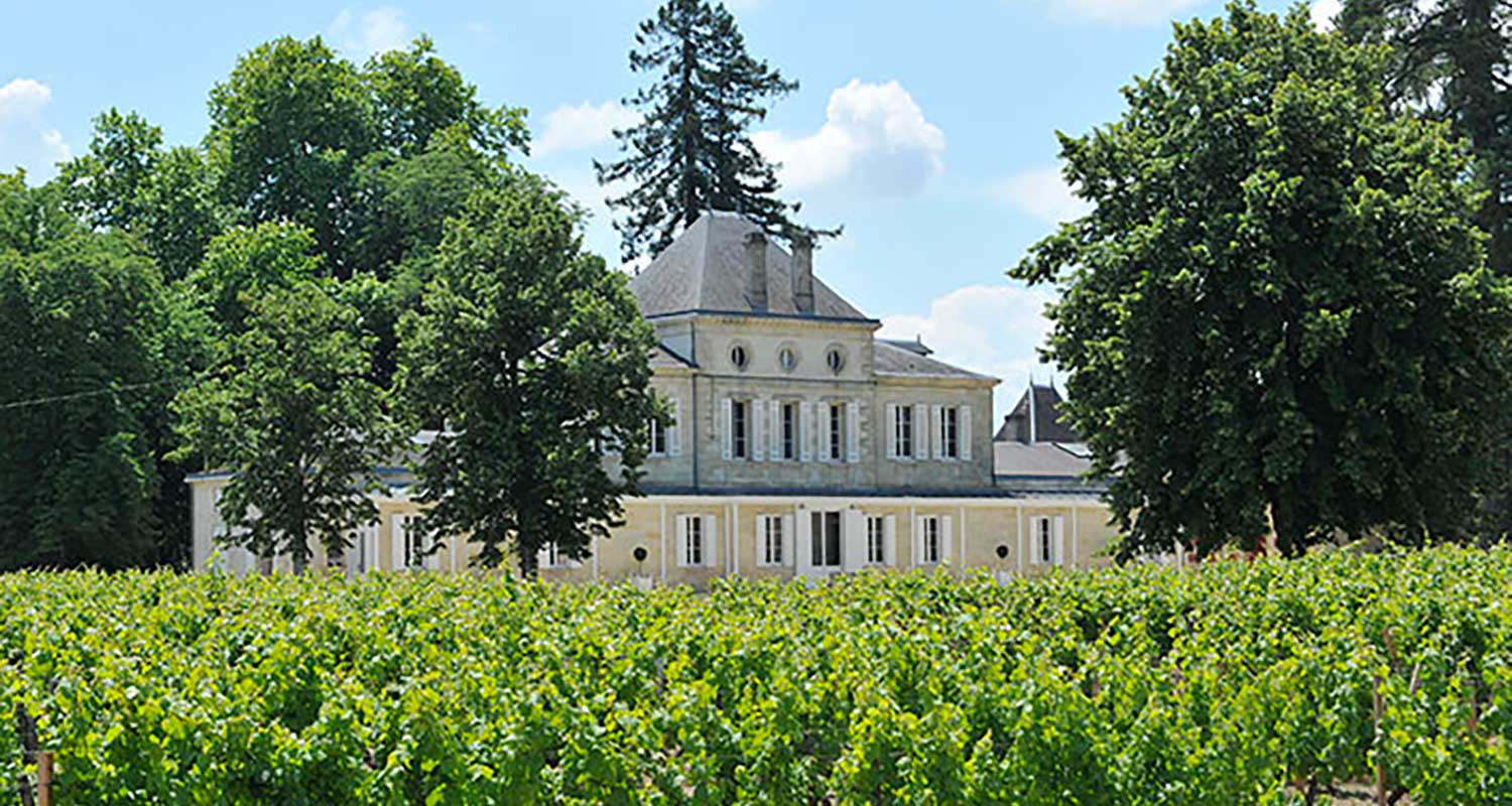 CHATEAU-HAUT-NOUCHET-PHOTO-VUE-CHATEAU-VIGNES