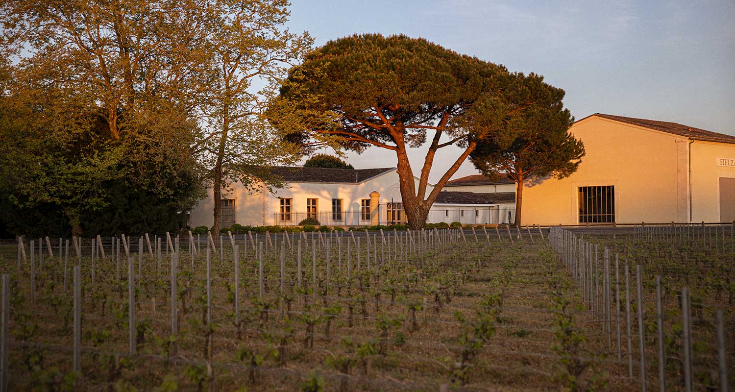 FIEUZAL_SPRING_CHATEAU_MORNING_LANDSCAPE