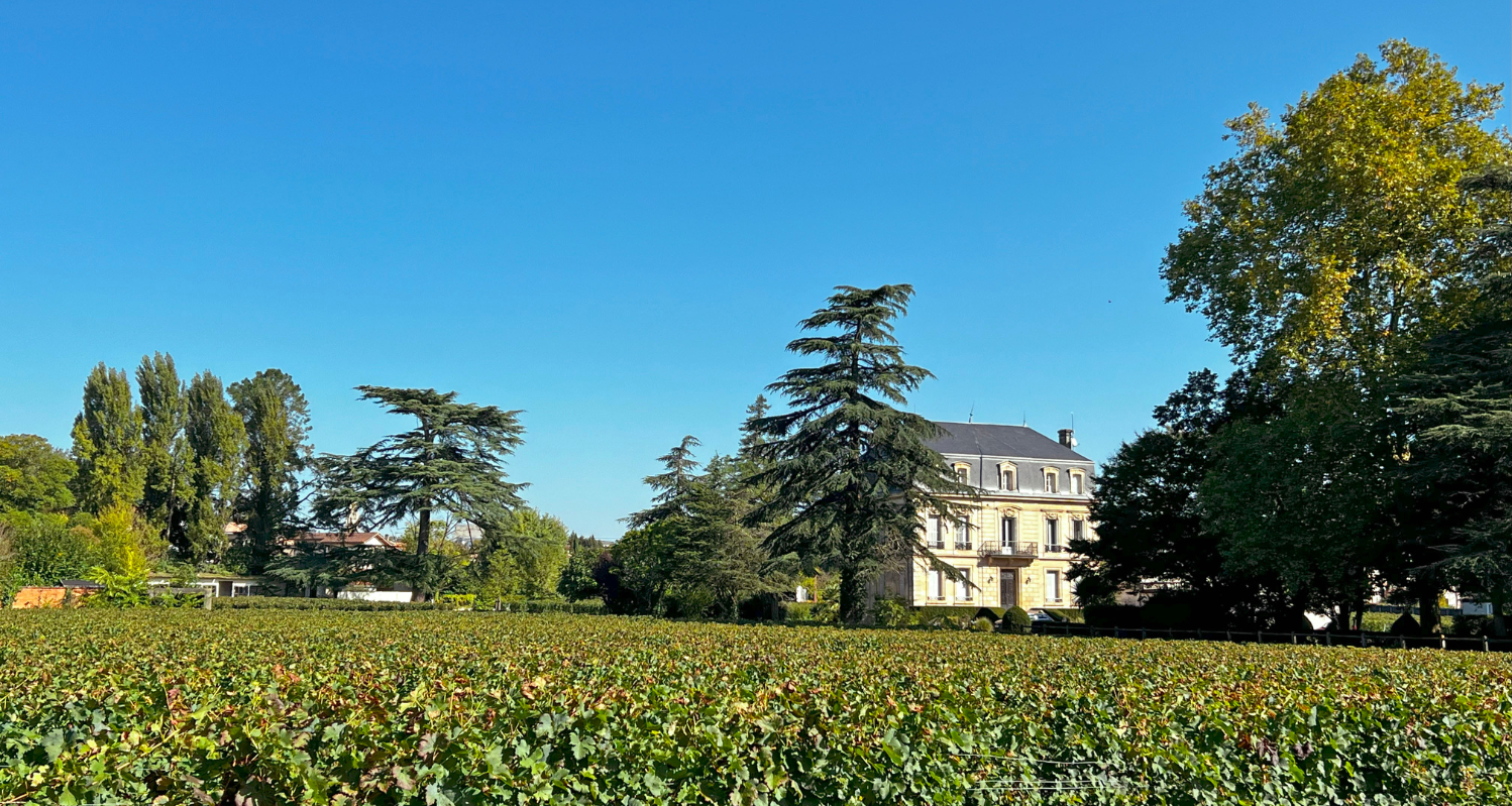 Photos Châteaux Pessac (1)