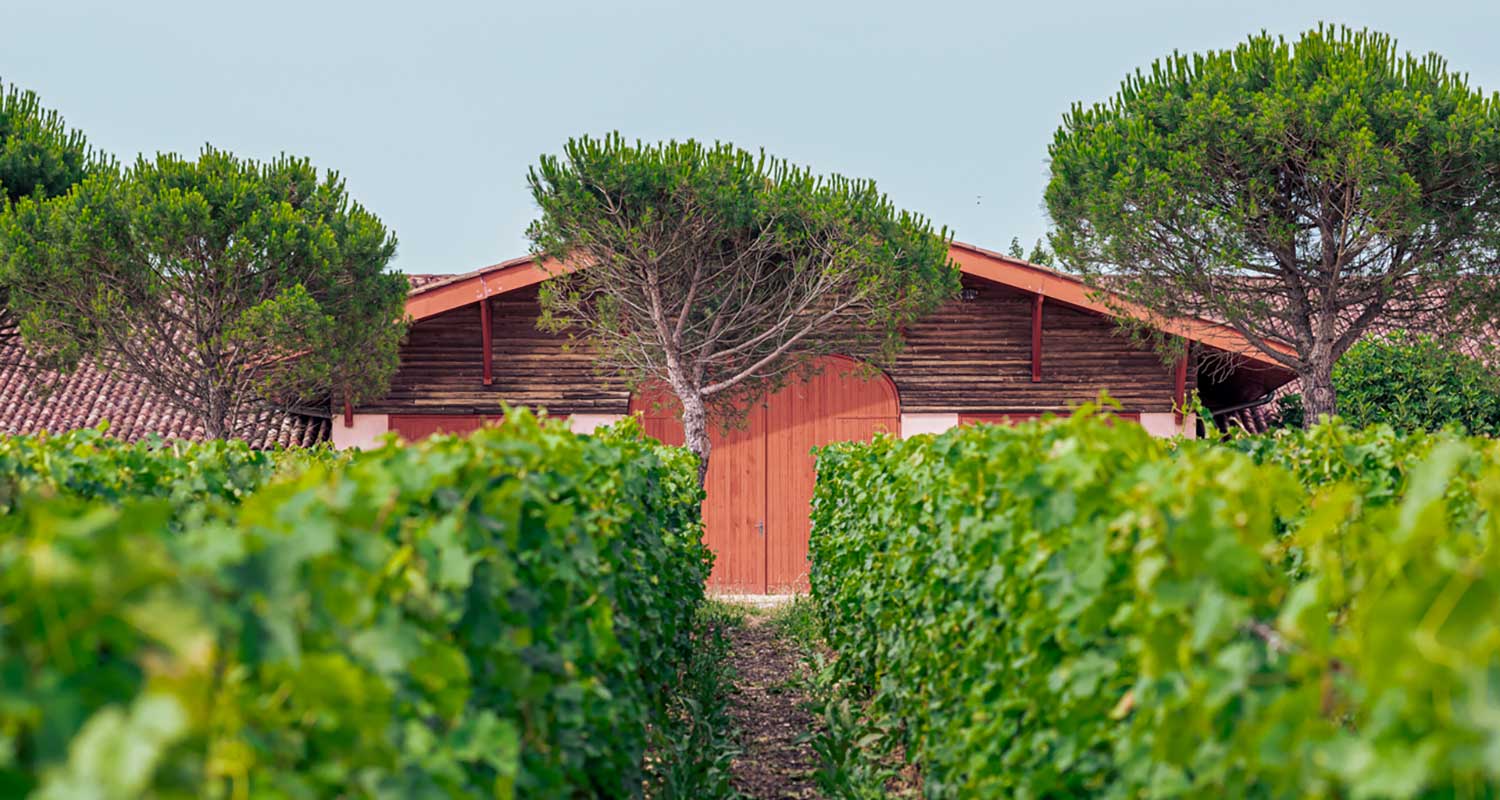 Vignobles-Andre-Lurton_Chateau-Rochemorin_4